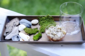 Cómo hacer un mini jardín de ensueño – iHuerting